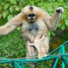   Autor: mat. prasowe Zoo Wrocław
