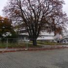 zdjęcie nr 8