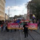 zdjęcie nr 10