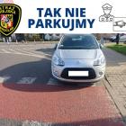zdjęcie nr 8