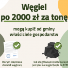 zdjęcie nr 2