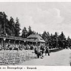 zdjęcie nr 19