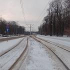 zdjęcie nr 33