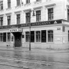 zdjęcie nr 9