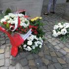 zdjęcie nr 13