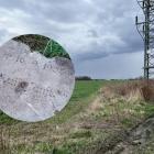   Autor: Klaudia Kłodnicka, użyczone