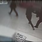   Autor: Dolnośląska Policja