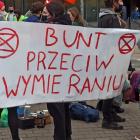 zdjęcie nr 10