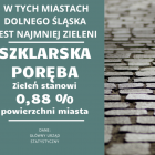 zdjęcie nr 19