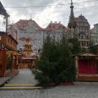 zdjęcie nr 40