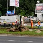 zdjęcie nr 14