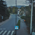 fot. Straż Miejska w Bogatyni/screen