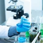 Działalność profesjonalna, naukowa i techniczna -  w tej dziedzinie w ciągu roku...