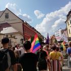 zdjęcie nr 15