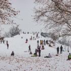 Zimowa zabawa na wzgórzu PaFaWag  Autor: ip