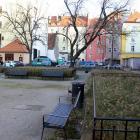 zdjęcie nr 10