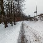 zdjęcie nr 31