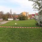 Za kraty aresztu trafiło dwóch mężczyzn podejrzanych o śmiertelne potrącenie...