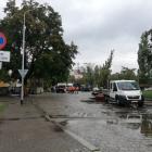 Fotka nr 0 z 14