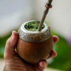 yerba mate