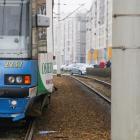 zdjęcie nr 10