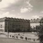 zdjęcie nr 19