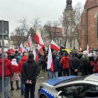 zdjęcie nr 15