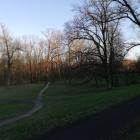 zdjęcie nr 11