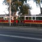 zdjęcie nr 11