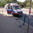 Fotka nr 2 z 13