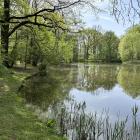 Park Pawłowicki, Wrocław  Autor: AP