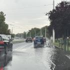 zdjęcie nr 8