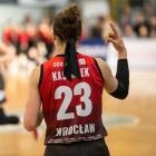   Autor: Ślęza Wrocław