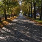 fot. Wrocławskie Inwestycje 