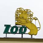  fot. Jakub Jurek 

  Neon wrocławskiego ZOO  - słynny neon przedstawiający...