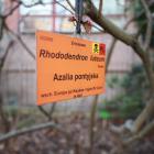 zdjęcie nr 45