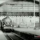 zdjęcie nr 8