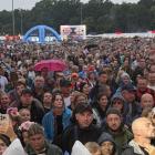 zdjęcie nr 14