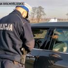 Fotka nr 4 z 6