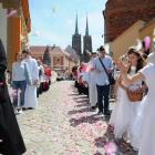 zdjęcie nr 17