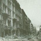 zdjęcie nr 23