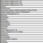 zdjęcie nr 29