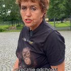 fot. Zoo Wrocław screen