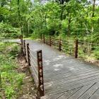 Park Swojczycki Czarna Woda, we Wrocławiu.  Autor: AP