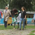 zdjęcie nr 11