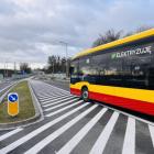 zdjęcie nr 12