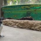   Autor: ZOO Wrocław