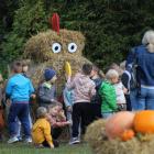 zdjęcie nr 18