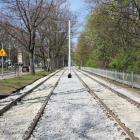 Tramwaje wrócą na Biskupin  Autor: MPK Wrocław