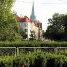 zdjęcie nr 19